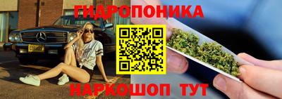 прущие крисы Гусиноозёрск