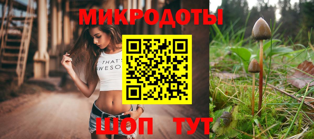 Псилоцибиновые грибы Cubensis  Вход с VPN  Добрянка 
